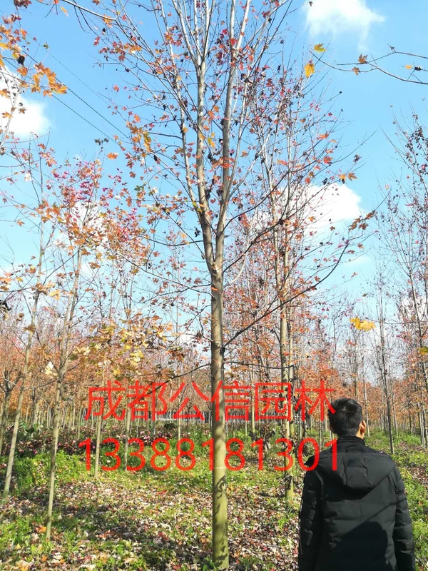560328772099131583_看图王.jpg