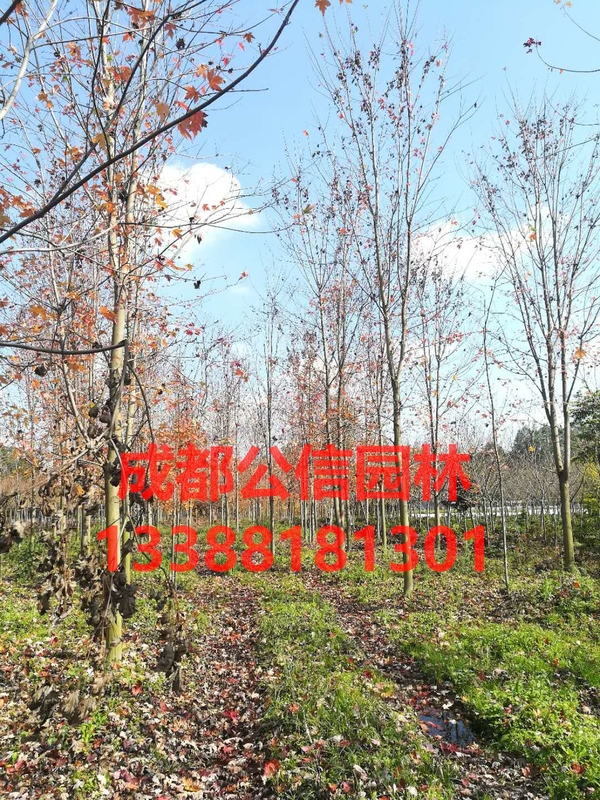 894509459800903782_看图王.jpg